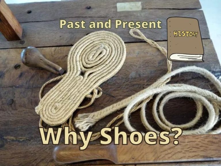 Why Were Shoes Invented? Help Shoe