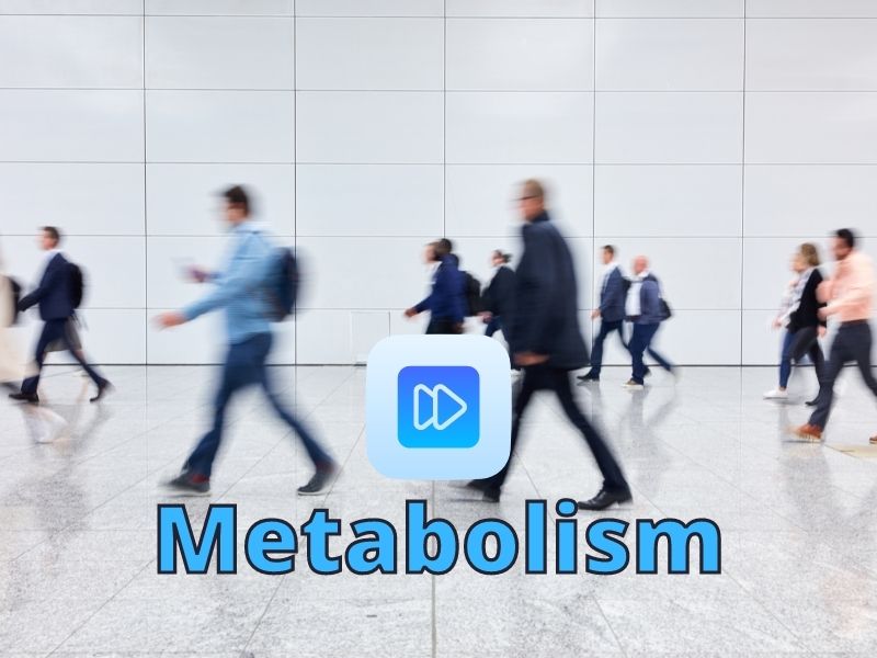 Metabolism walking to work