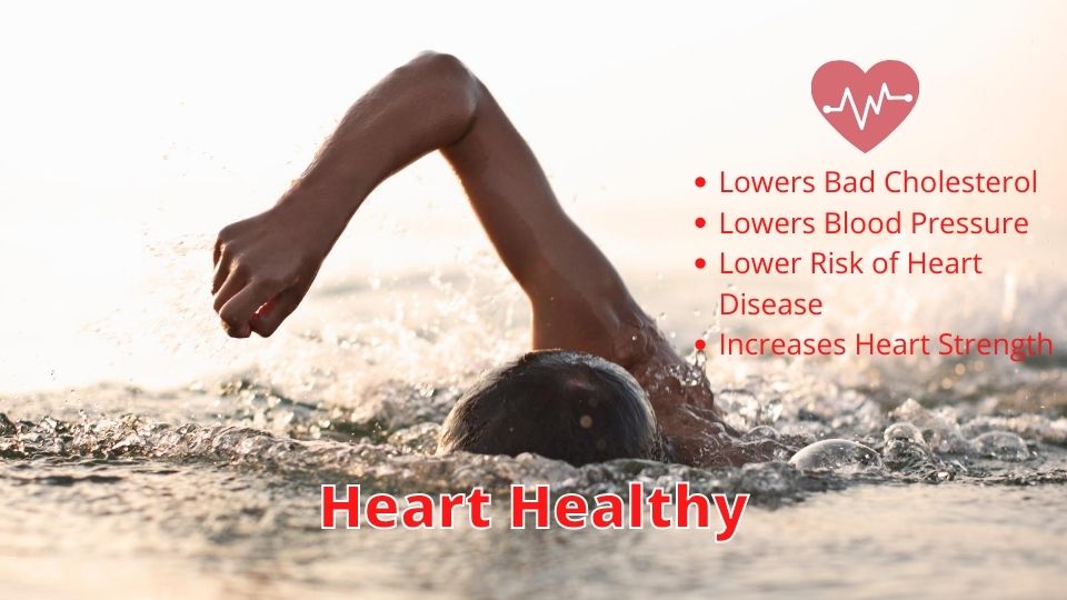 Swimming 30 Minutes Helps Your Heart