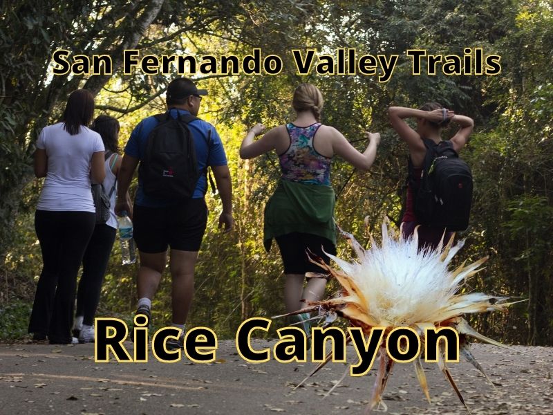 trail Rice Canyon