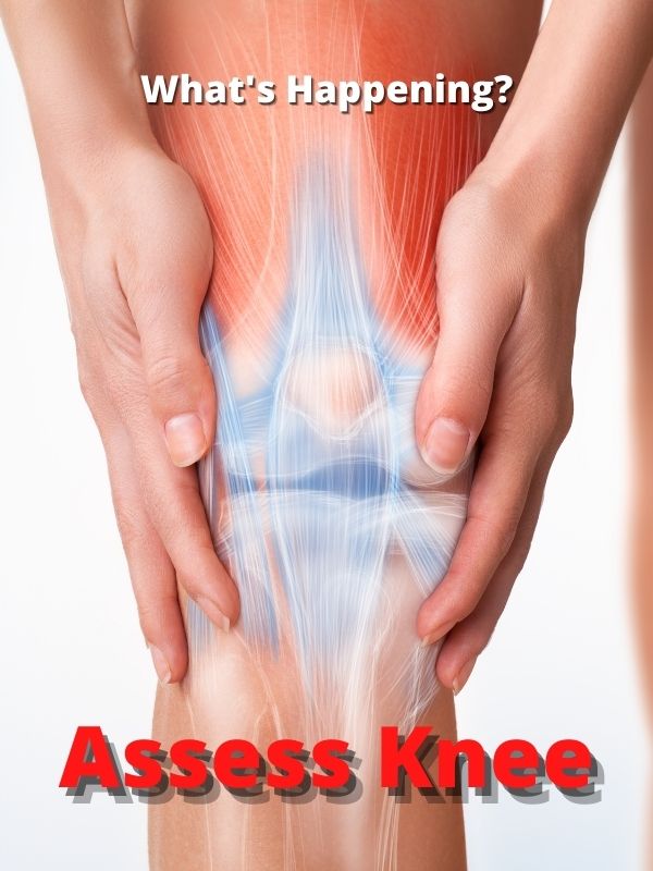 Assess Knee