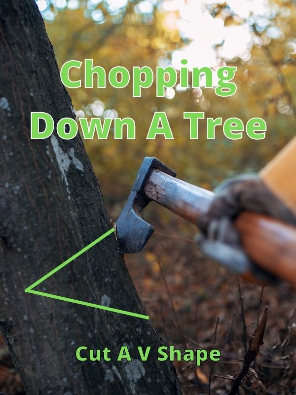 Chopping Down A Tree