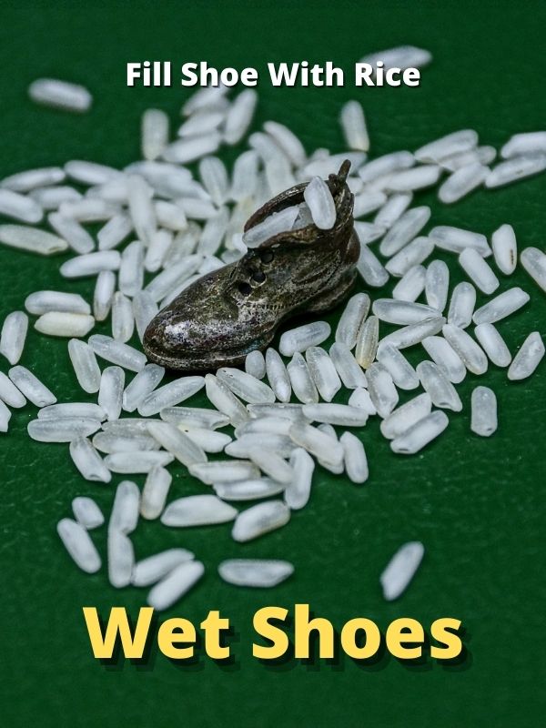 Dry Wet Shoes