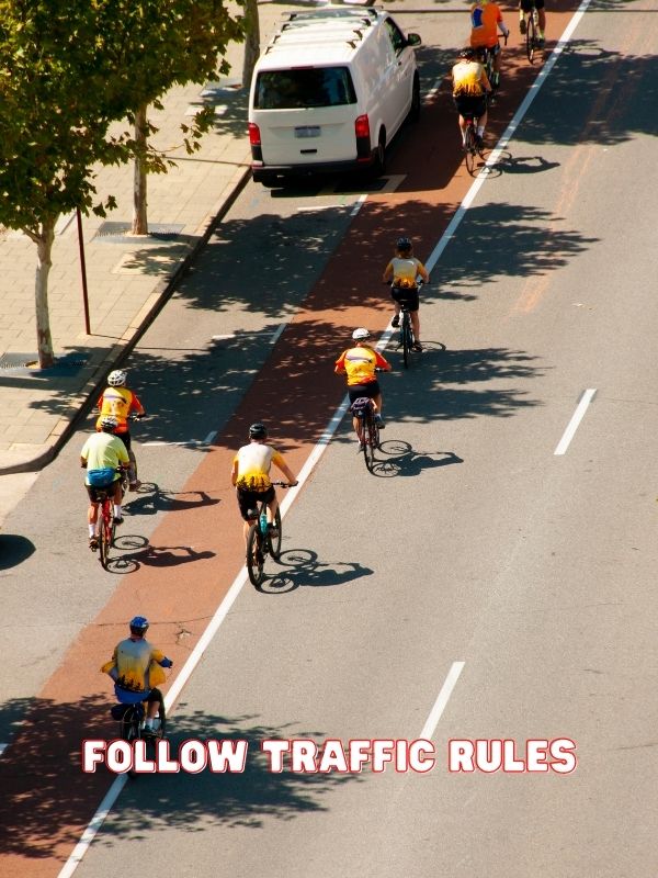Follow Traffic Rules biking