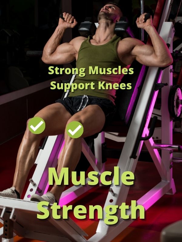 Muscle Strength knee support