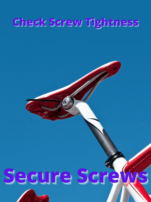Secure Screws