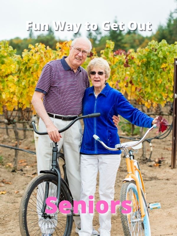 step Through Bikes Seniors