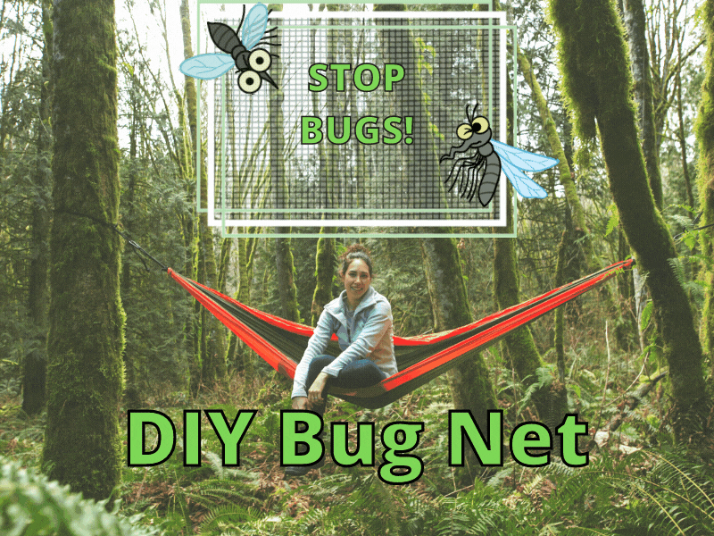 DIY Bug Net