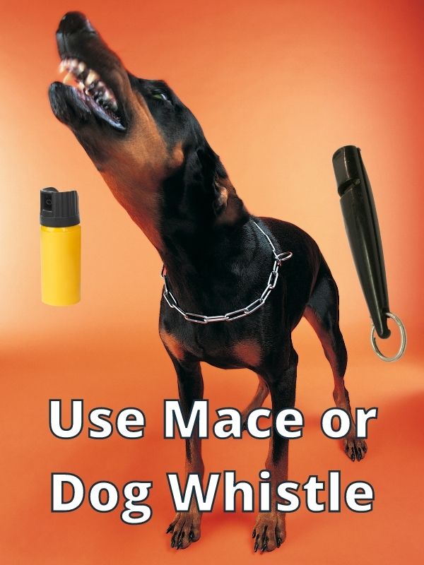Use Mace or Dog Whistle