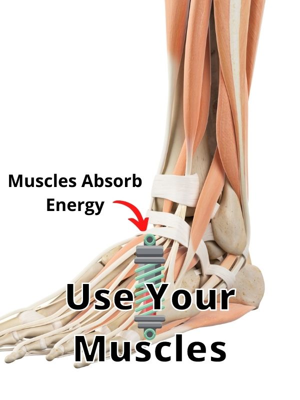 Use Your Muscles