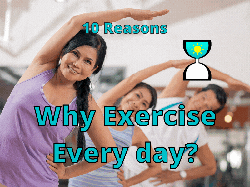 Why Exercise Every day