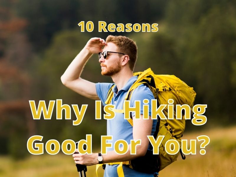 Why Is Hiking Good For You