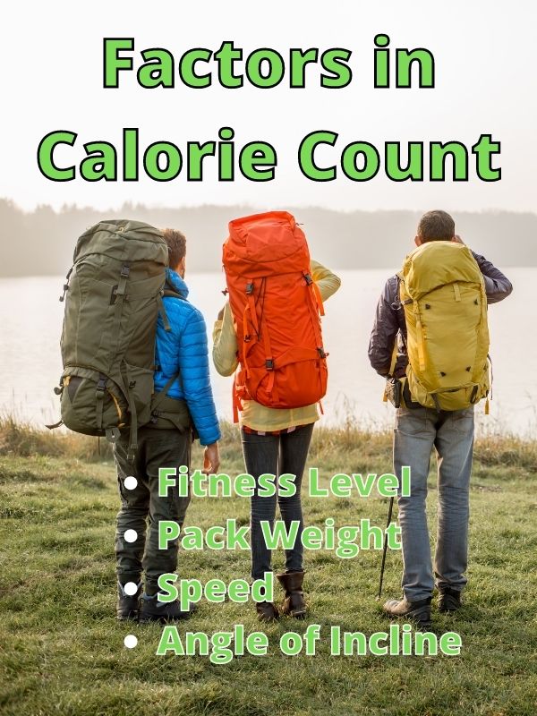 Factors in Calorie Count