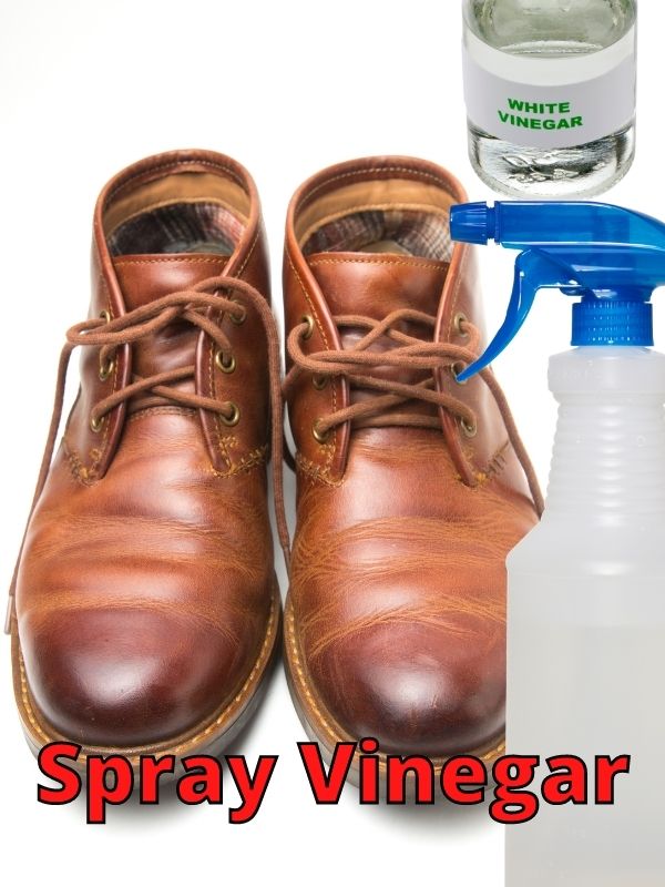 Spray Vinegar in shoes