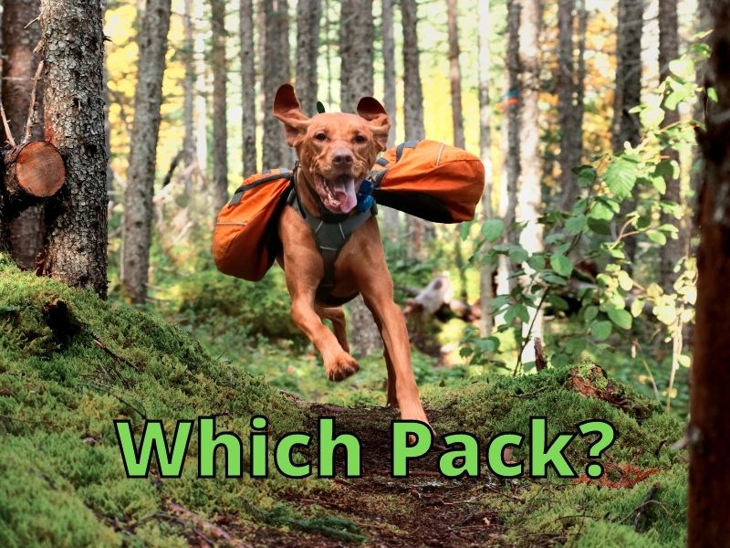 Dog Hiking Backpack which pack