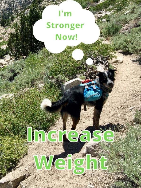 Increase Weight backpack
