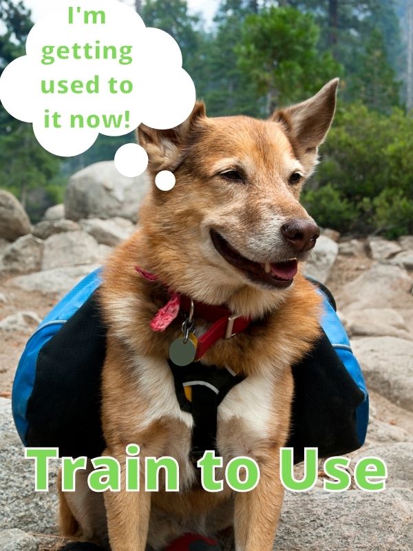 Train to Use dog backpack