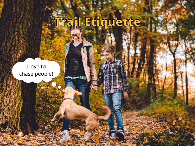 hiking with dog etiquette