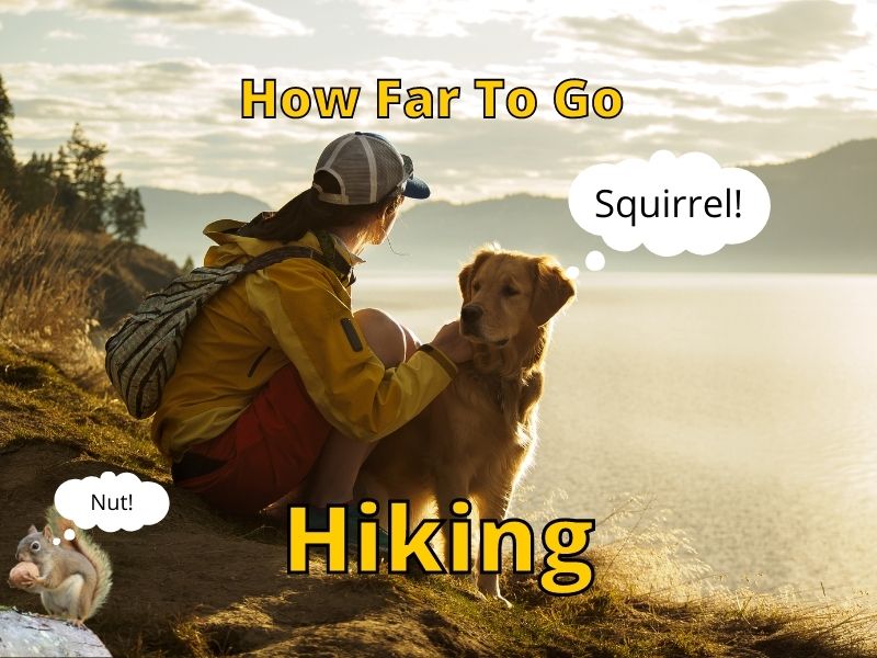 how far to hike with dog