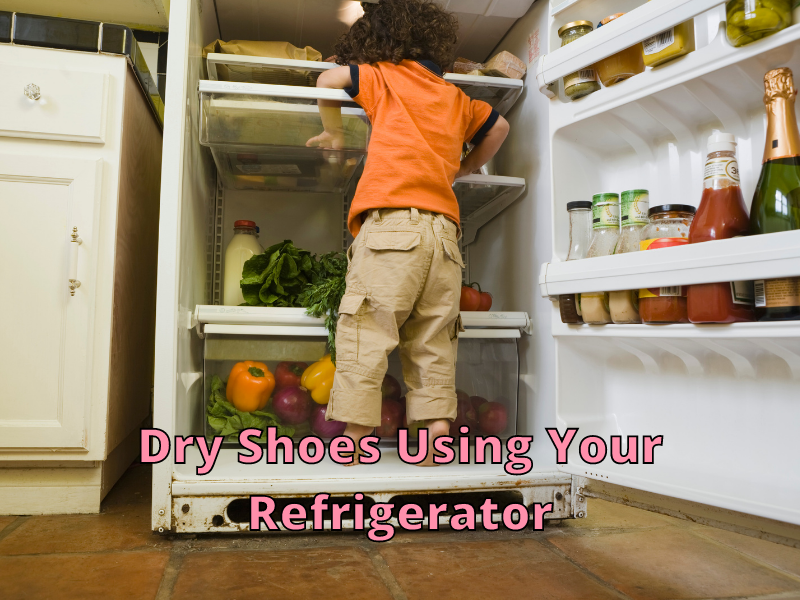 Dry Shoes using Refrigerator