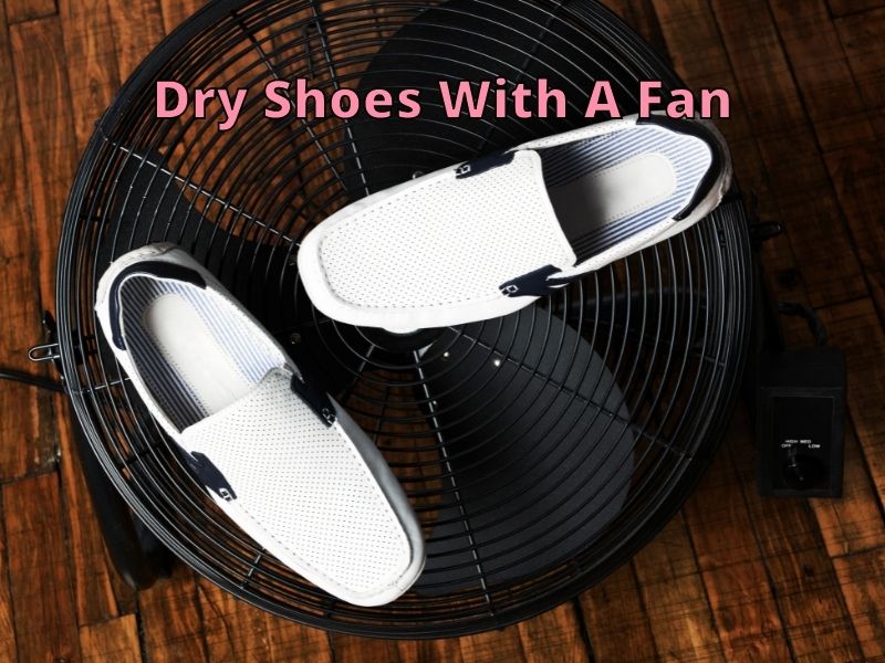 Dry Shoes With A Fan