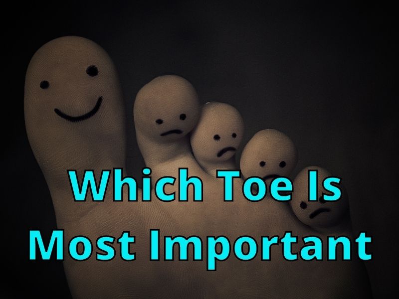 Which Toe is the Most Important? 